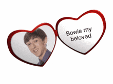 Bowie Bowie Some Assembly Required GIF - Bowie Bowie Some Assembly Required Some Assembly Required GIFs