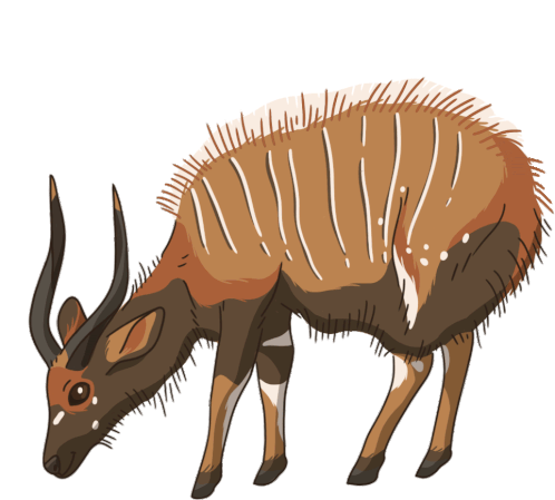 Antelope Nyala Sticker - Antelope Nyala Stickers