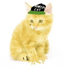 a kitten wearing a green hat and a cigarette in its mouth .