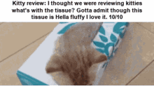review cat