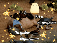 a group of animals are laying in the dirt with the words ta gobbe bignoctumu written on the bottom