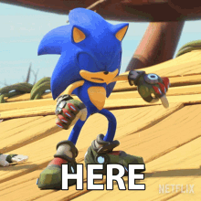 Here Sonic The Hedgehog GIF - Here Sonic The Hedgehog Sonic Prime GIFs