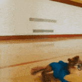 Alvin And The Chipmunks Simon And Theodore GIF - Alvin And The Chipmunks Simon And Theodore GIFs