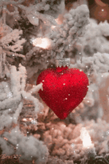 Christmas Love2019 Heart GIF - Christmas Love2019 Heart Love GIFs