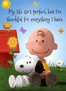 snoopy and charlie brown are sitting in the grass with a quote that says my life isn 't perfect