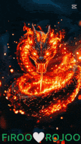 a picture of a fire dragon with the name firoo rojoo on it
