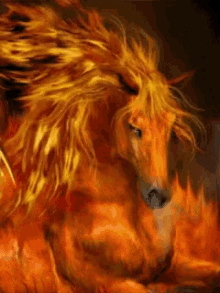 Horse On GIF - Horse On Fire GIFs