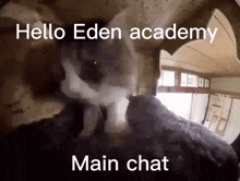 Eden Academy Karuta GIF - Eden Academy Karuta GIFs