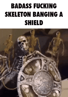 a picture of a skeleton holding a shield with the words badass fucking skeleton banging a shield