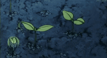 Cartoon Planting GIF - Cartoon Planting Plants GIFs