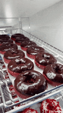 Red Velvet Donuts Chocolate Frosted Red Velvet Donuts GIF - Red Velvet Donuts Donuts Chocolate Frosted Red Velvet Donuts GIFs