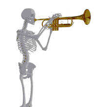 esqueleto memesfdufc chupa cu trompete