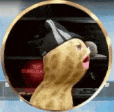 a peanut wearing a hat is standing in a circle with its mouth open .