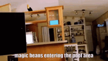 Magic Beans Pool Area GIF - Magic Beans Pool Area GIFs