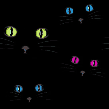 Cats Eyes GIF - Cats Eyes Darkness GIFs