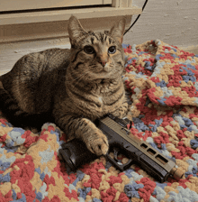 a cat laying on a colorful blanket with a gun on its paw