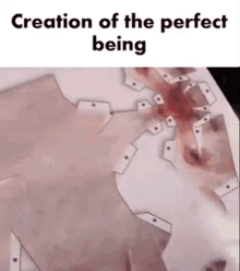 The Creation Of A Perfect Being GIF - The Creation Of A Perfect Being The Creation Perfect Being GIFs
