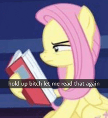 a pony is reading a book with a caption that says hold up bitch let me read that again .