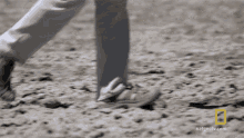 Walking Stepping On The Sand GIF - Walking Stepping On The Sand Wandering GIFs