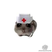 a hamster wearing a nurse hat with a red cross