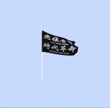 a flag that says revolution now is flying in the wind