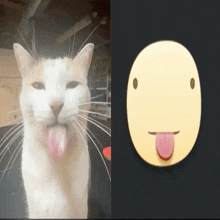 a cat sticking its tongue out next to a picture of a face with its tongue out