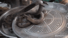 a strainer with a snake on it that says made in animonica