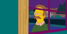 flanders window ned window squint suspicious squinted eye