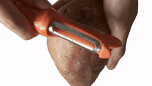 peeling the sweet potato two plaid aprons removing skin skinning the sweet potato