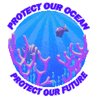 Protect Our Oceans To Protect Our Future World Oceans Day Sticker
