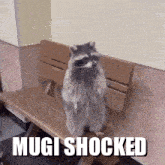 Mugi Raccoon Mugi Standing GIF