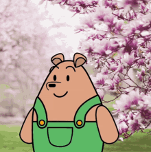 cherry blossom flower sakura in japan spring is here pants bear cute bear