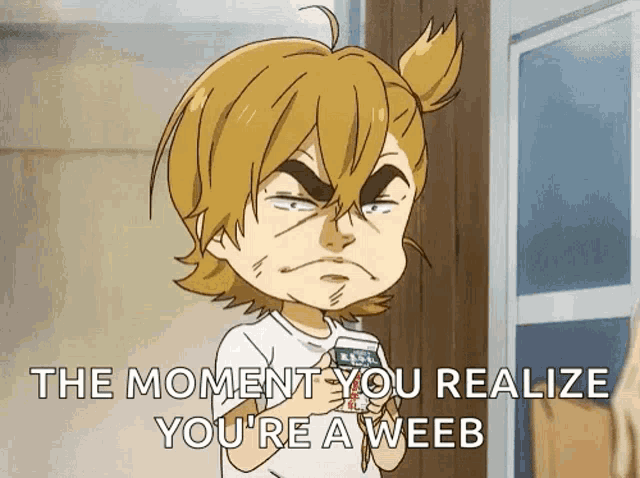 you like anime? WEEB! : r/memes