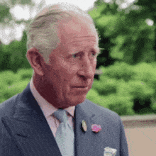 King-charles-the-third Looking-smart GIF