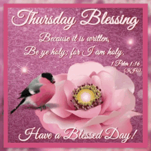 tuesday blessings happy morning good