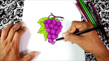 a person is drawing a bunch of grapes with colored pencils