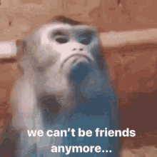 Cant Be Friends Anymore Mad GIF - Cant Be Friends Anymore Mad Upset GIFs
