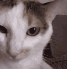 саня GIF - Саня - Discover & Share GIFs
