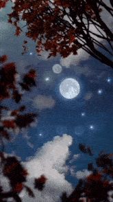 The Winter Moon Reigns Over The Cold Night A Solitary Beacon Amidst The Slumbering Trees GIF - The Winter Moon Reigns Over The Cold Night A Solitary Beacon Amidst The Slumbering Trees GIFs