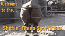 rhino sports bar rhino shitting rhino rhino poo herd football