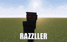 Razzller Minecraft GIF - Razzller Minecraft GIFs