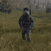 GIF