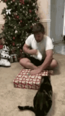 cat ps4 attack christmas