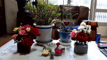 Flowers With A Tea1 GIF - Flowers With A Tea1 GIFs