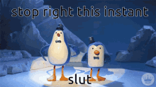 Stop This Instant GIF - Stop This Instant Penguin Dance GIFs