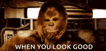 Looking Good Chewbacca GIF - Looking Good Chewbacca Wookie GIFs
