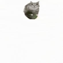 a fighter jet is flying through the air with smoke coming out of it 's tail .