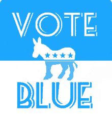 Vote Election GIF - Vote Election Vote Blue GIFs
