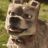 a close up of a dog wearing a red collar with #minecraftmovie written on the bottom