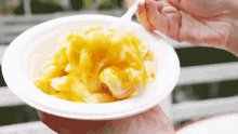 Macaroni Cheese GIF